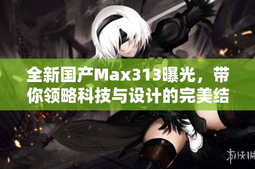 全新国产Max313曝光，带你领略科技与设计的完美结合