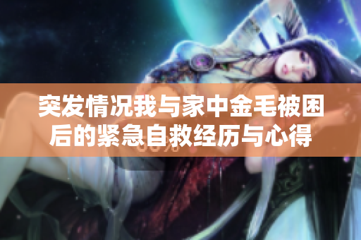 突发情况我与家中金毛被困后的紧急自救经历与心得