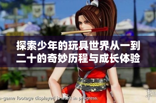探索少年的玩具世界从一到二十的奇妙历程与成长体验