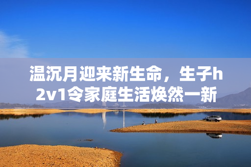温沉月迎来新生命，生子h2v1令家庭生活焕然一新
