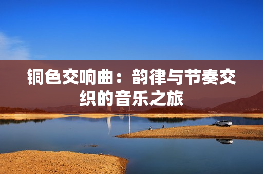 铜色交响曲：韵律与节奏交织的音乐之旅