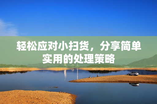 轻松应对小扫货，分享简单实用的处理策略