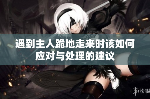 遇到主人跪地走来时该如何应对与处理的建议