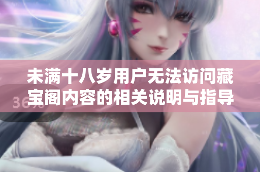 未满十八岁用户无法访问藏宝阁内容的相关说明与指导