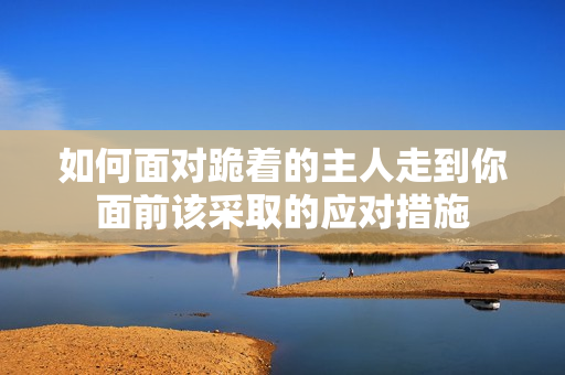 如何面对跪着的主人走到你面前该采取的应对措施