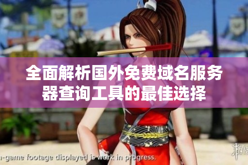 全面解析国外免费域名服务器查询工具的最佳选择