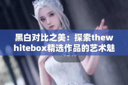 黑白对比之美：探索thewhitebox精选作品的艺术魅力