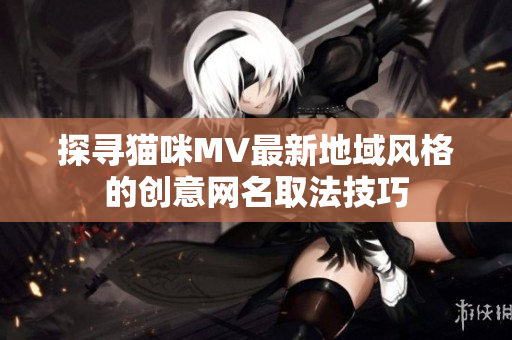 探寻猫咪MV最新地域风格的创意网名取法技巧