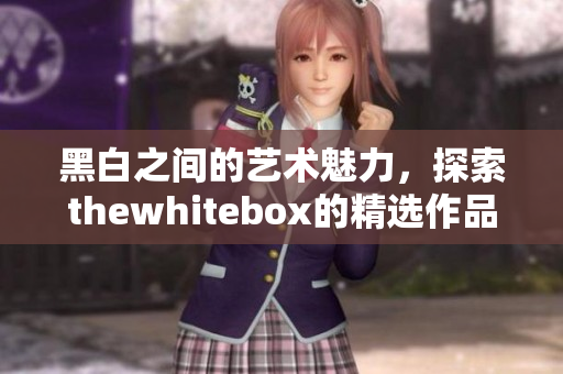 黑白之间的艺术魅力，探索thewhitebox的精选作品