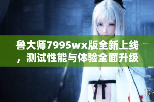 鲁大师7995wx版全新上线，测试性能与体验全面升级