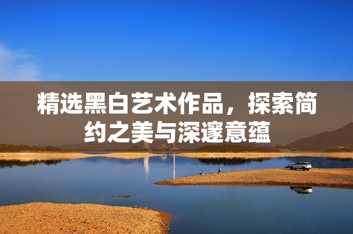 精选黑白艺术作品，探索简约之美与深邃意蕴