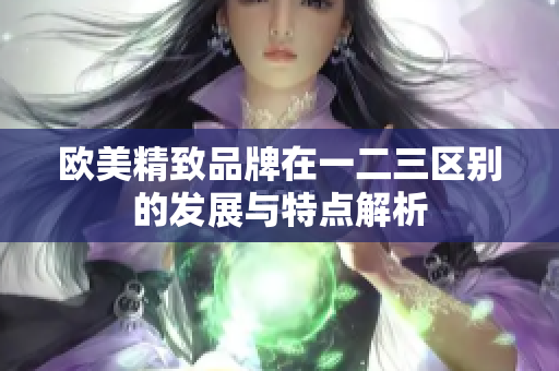 欧美精致品牌在一二三区别的发展与特点解析