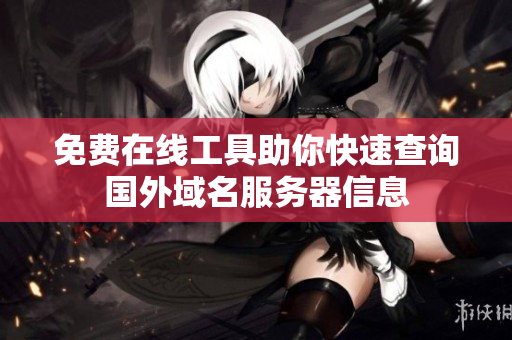 免费在线工具助你快速查询国外域名服务器信息