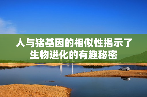 人与猪基因的相似性揭示了生物进化的有趣秘密