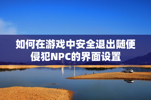 如何在游戏中安全退出随便侵犯NPC的界面设置