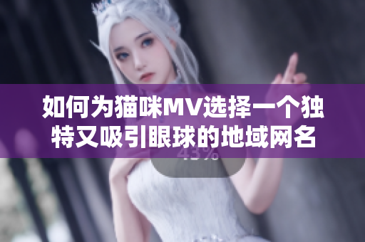 如何为猫咪MV选择一个独特又吸引眼球的地域网名
