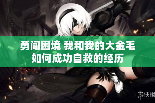 勇闯困境 我和我的大金毛如何成功自救的经历