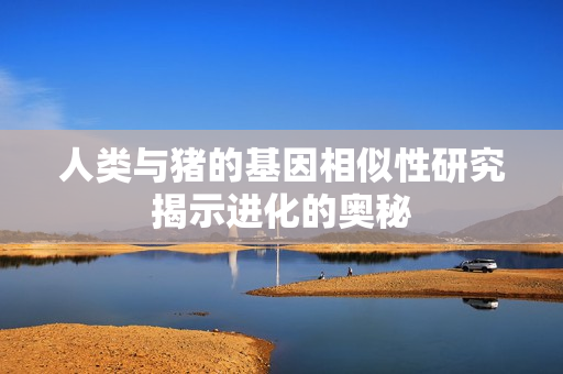人类与猪的基因相似性研究揭示进化的奥秘