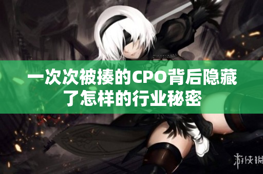 一次次被揍的CPO背后隐藏了怎样的行业秘密