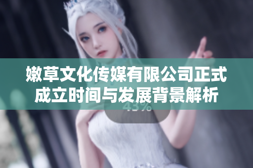 嫩草文化传媒有限公司正式成立时间与发展背景解析
