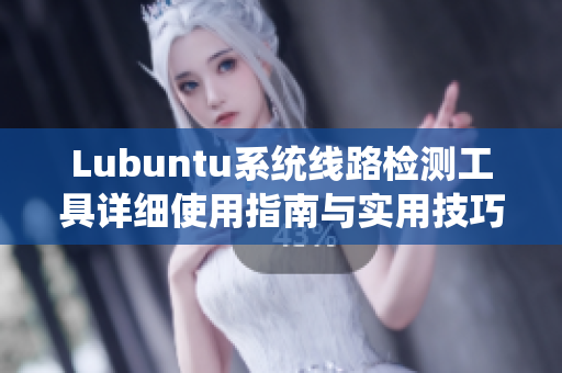 Lubuntu系统线路检测工具详细使用指南与实用技巧分享