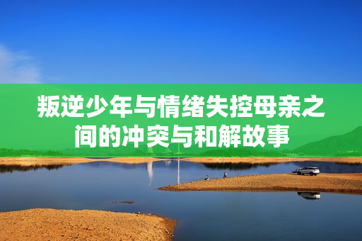 叛逆少年与情绪失控母亲之间的冲突与和解故事