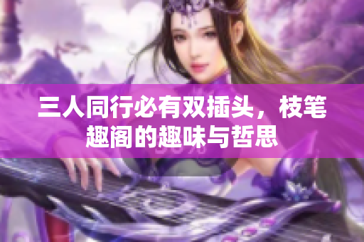 三人同行必有双插头，枝笔趣阁的趣味与哲思