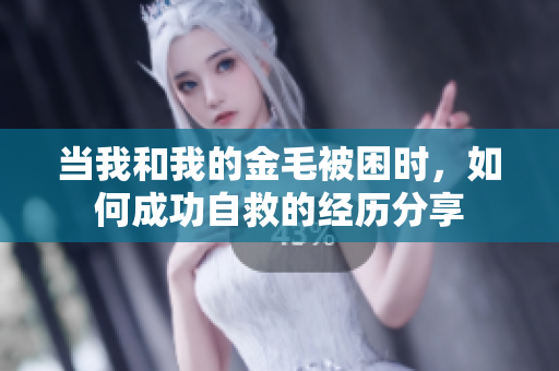 当我和我的金毛被困时，如何成功自救的经历分享