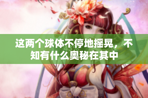 这两个球体不停地摇晃，不知有什么奥秘在其中