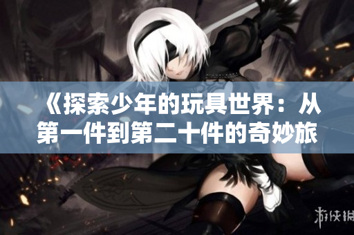 《探索少年的玩具世界：从第一件到第二十件的奇妙旅程》
