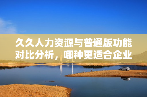 久久人力资源与普通版功能对比分析，哪种更适合企业需求