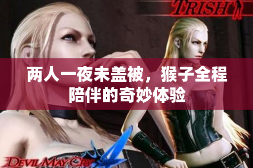 两人一夜未盖被，猴子全程陪伴的奇妙体验