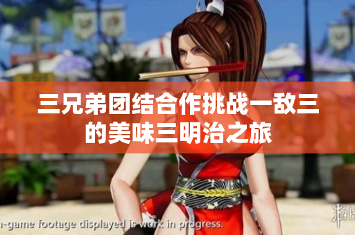 三兄弟团结合作挑战一敌三的美味三明治之旅