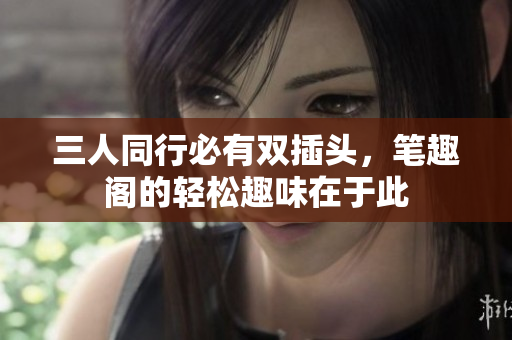 三人同行必有双插头，笔趣阁的轻松趣味在于此