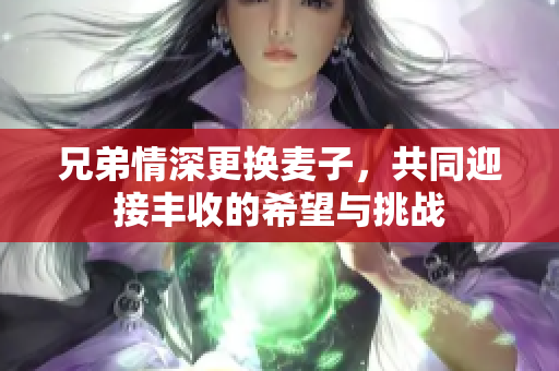 兄弟情深更换麦子，共同迎接丰收的希望与挑战