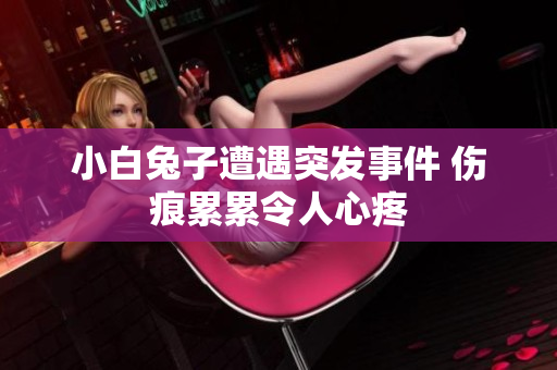 小白兔子遭遇突发事件 伤痕累累令人心疼