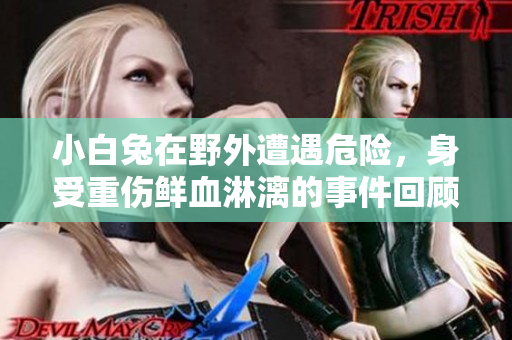 小白兔在野外遭遇危险，身受重伤鲜血淋漓的事件回顾