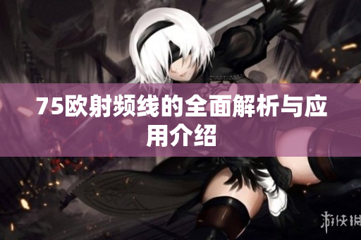 75欧射频线的全面解析与应用介绍