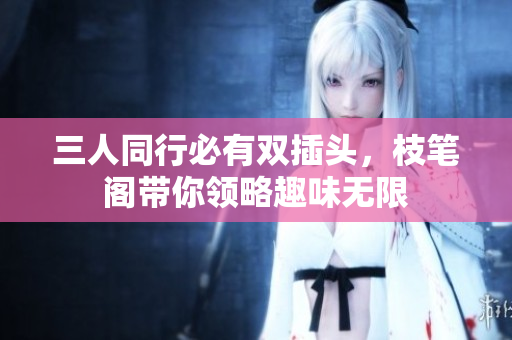 三人同行必有双插头，枝笔阁带你领略趣味无限