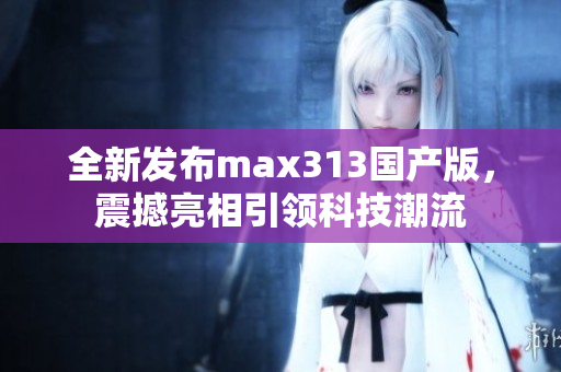 全新发布max313国产版，震撼亮相引领科技潮流