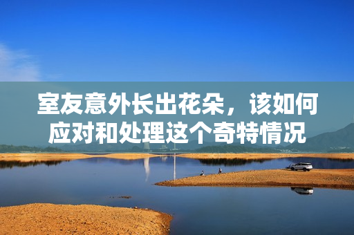 室友意外长出花朵，该如何应对和处理这个奇特情况