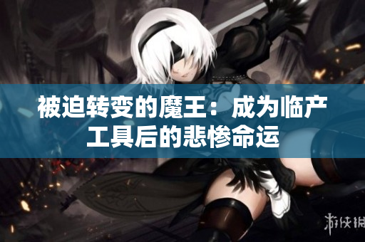 被迫转变的魔王：成为临产工具后的悲惨命运
