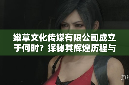 嫩草文化传媒有限公司成立于何时？探秘其辉煌历程与发展背景