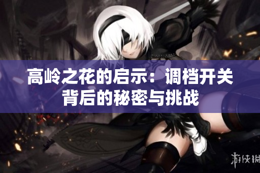 高岭之花的启示：调档开关背后的秘密与挑战
