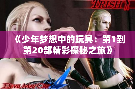 《少年梦想中的玩具：第1到第20部精彩探秘之旅》