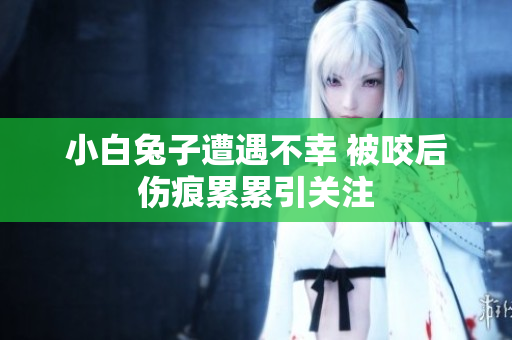 小白兔子遭遇不幸 被咬后伤痕累累引关注