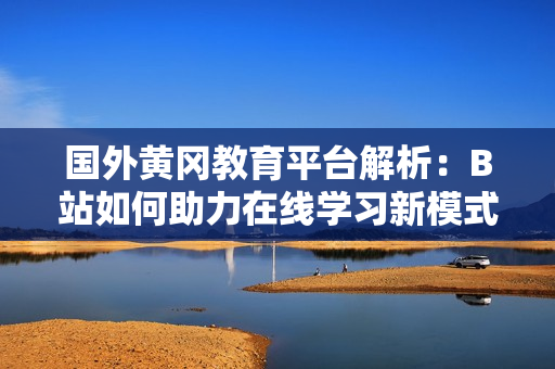 国外黄冈教育平台解析：B站如何助力在线学习新模式