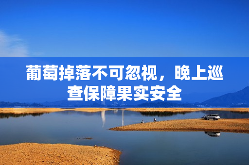 葡萄掉落不可忽视，晚上巡查保障果实安全