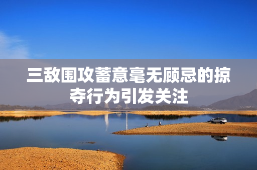三敌围攻蓄意毫无顾忌的掠夺行为引发关注
