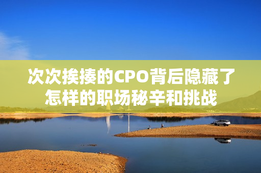 次次挨揍的CPO背后隐藏了怎样的职场秘辛和挑战